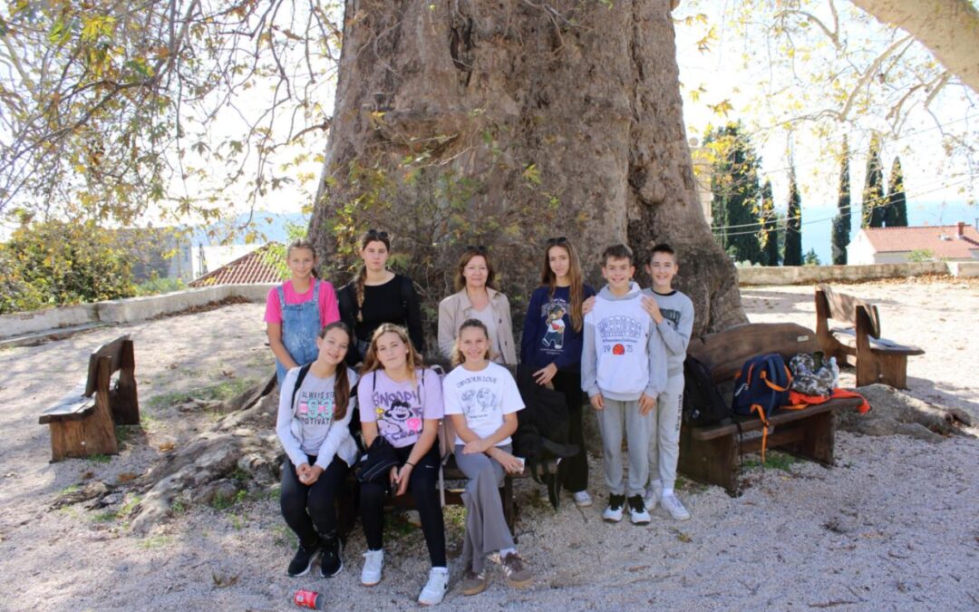 Tragovi zelene baštine – u posjetu Arboretumu Trsteno