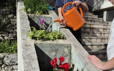 Čuvari prirode – sadnja ciklama