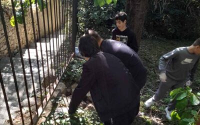 Vrijedne ruke 8.c razreda: Obnova školskog suhozida